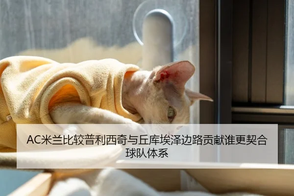 AC米兰比较普利西奇与丘库埃泽边路贡献谁更契合球队体系