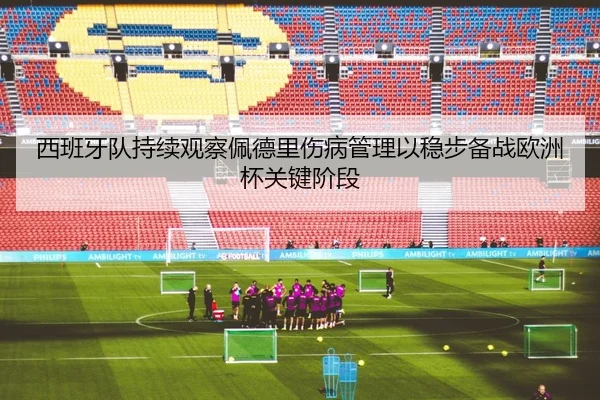 西班牙队持续观察佩德里伤病管理以稳步备战欧洲杯关键阶段