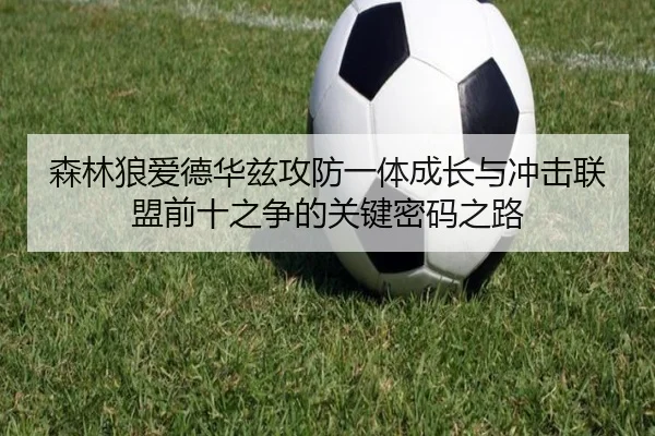 森林狼爱德华兹攻防一体成长与冲击联盟前十之争的关键密码之路
