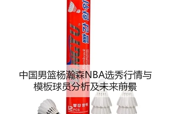 中国男篮杨瀚森NBA选秀行情与模板球员分析及未来前景