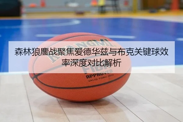 森林狼鏖战聚焦爱德华兹与布克关键球效率深度对比解析