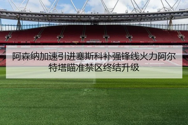阿森纳加速引进塞斯科补强锋线火力阿尔特塔瞄准禁区终结升级